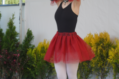 DSC04848