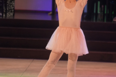 DSC05041